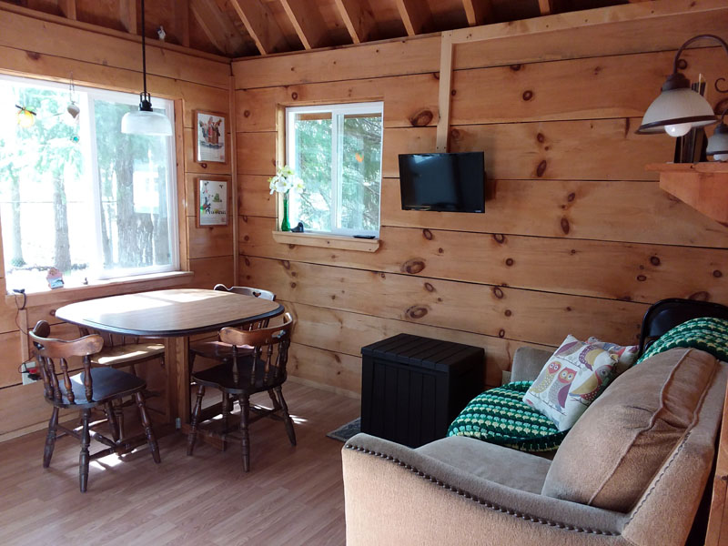 Living Area 2 - Lakeview Cabin